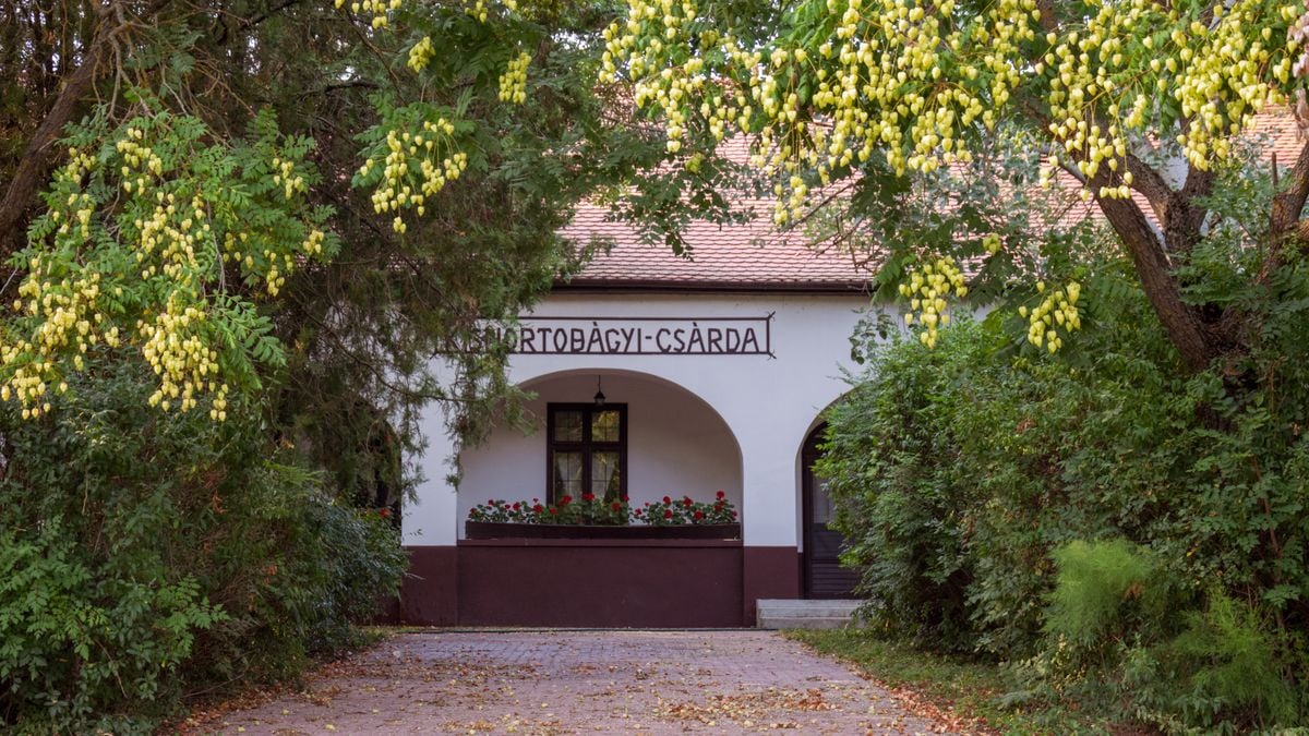 Családi szabadidős programok